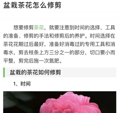 家庭养花用生根粉