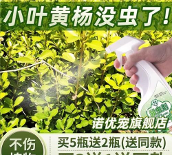 家庭养花用生根粉