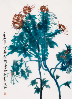 凤来仪花长什么样