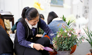 家庭养花用生根粉