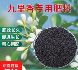 九里香树施什么肥料