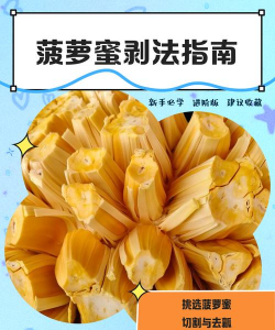 菠萝蜜剥好怎么催熟