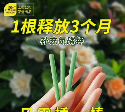 家庭养花用生根粉