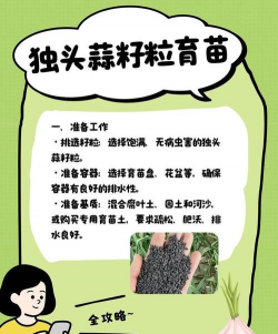 怎么养独蒜
