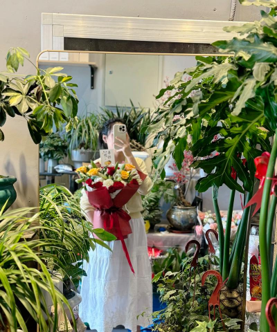 家庭养花用生根粉