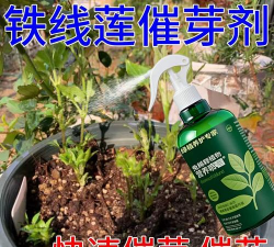 家庭养花用生根粉