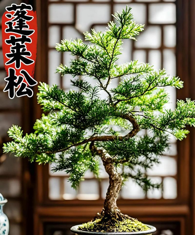 无土栽培技术，突破土壤限制，开启高效种植新篇章