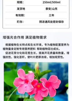 家庭养花用生根粉