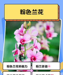 绿化景观设计，提升环境品质，创造宜人空间