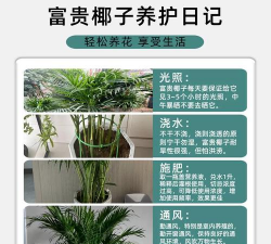 绿化景观设计，提升环境品质，创造宜人空间