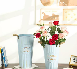 玫瑰花怎么养才不会枯萎，掌握浇水施肥技巧，轻松延长花期