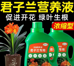 家庭养花用生根粉