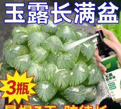 家庭养花用生根粉