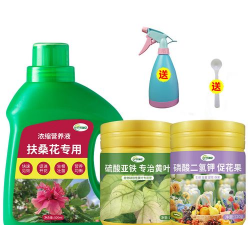 家庭养花用生根粉