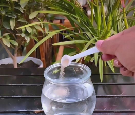 家庭养花用生根粉