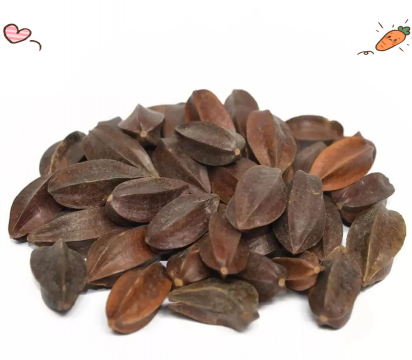 使君子果实怎么打开