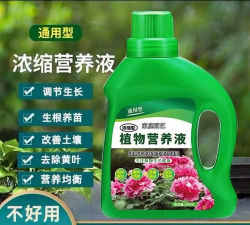 家庭养花用生根粉