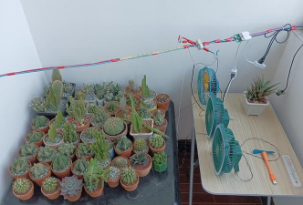 家庭养花用生根粉