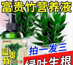 家庭养花用生根粉