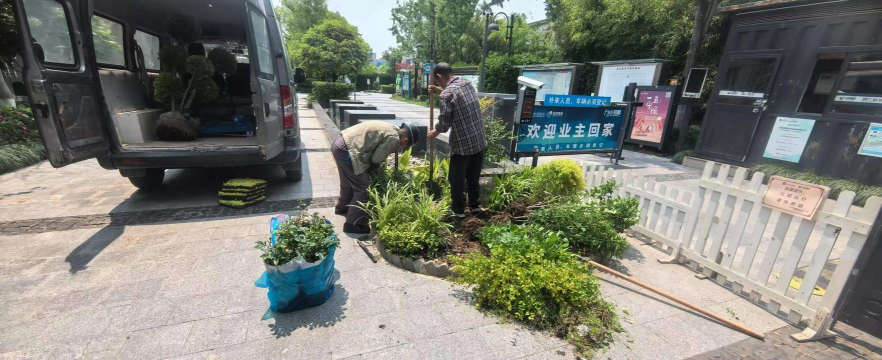 家庭养花用生根粉