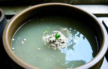 绿化景观设计，提升环境品质，创造宜人空间