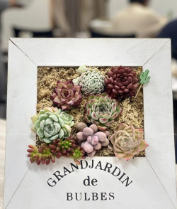 多肉相框怎么制作方法