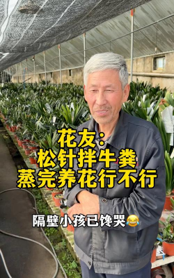 家庭养花用生根粉