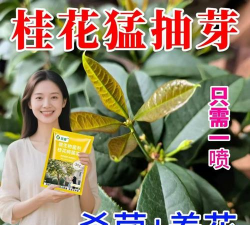 家庭养花用生根粉