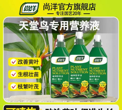 家庭养花用生根粉