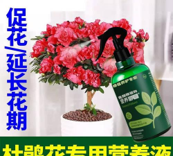 家庭养花用生根粉