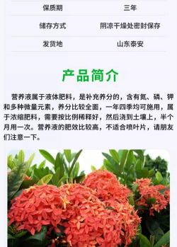 家庭养花用生根粉