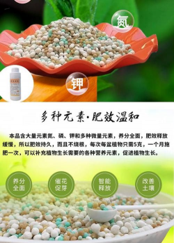 家庭养花用生根粉