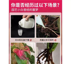 家庭养花用生根粉