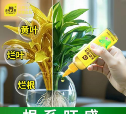 家庭养花用生根粉