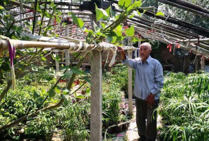 家庭养花用生根粉