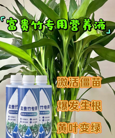 家庭养花用生根粉