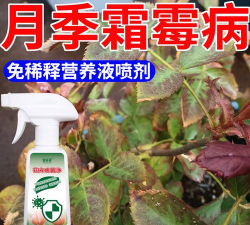 家庭养花用生根粉