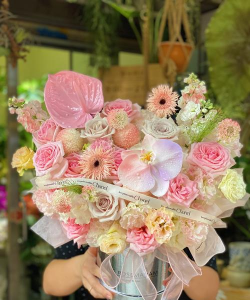 家庭养花用生根粉