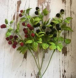 覆盆子盆栽冬天怎么养