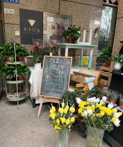 家庭养花用生根粉