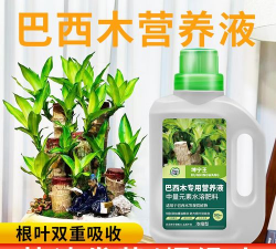 家庭养花用生根粉