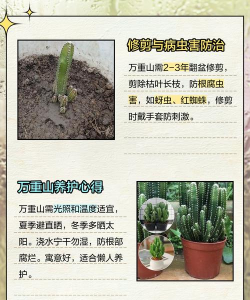 养殖万重山有什么好处