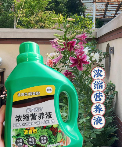 家庭养花用生根粉