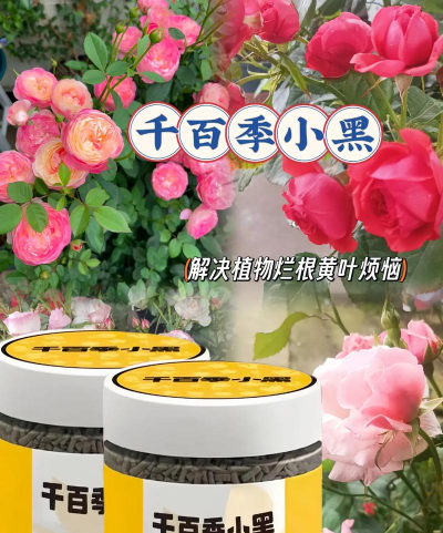 家庭养花用生根粉