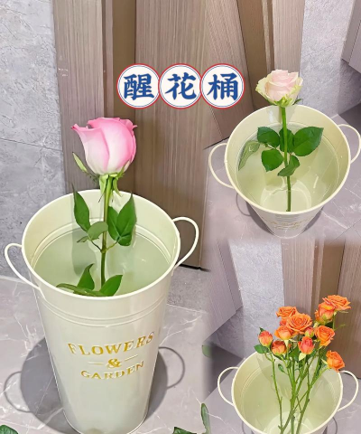 玫瑰花怎么养才不会枯萎，掌握浇水施肥技巧，轻松延长花期