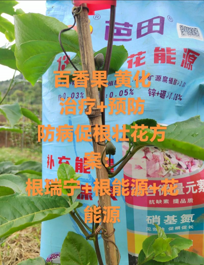 家庭养花用生根粉