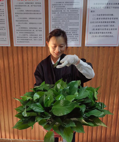 家庭养花用生根粉