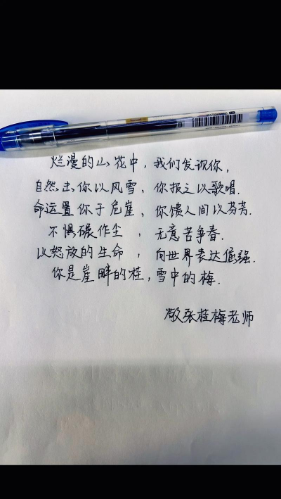 养花励志随笔