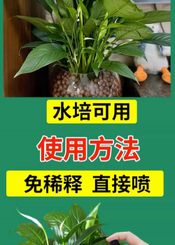 家庭养花用生根粉