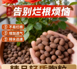 家庭养花用生根粉